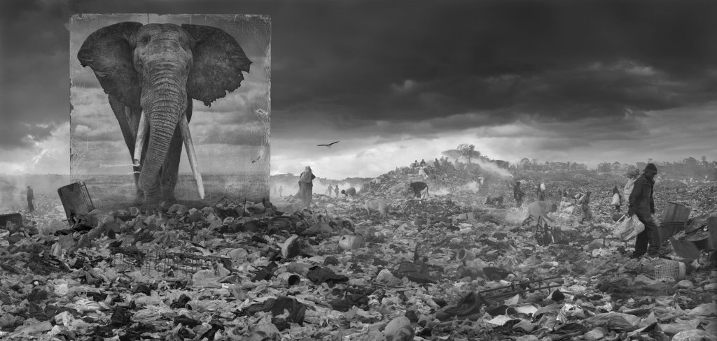 «Современное»: Ник Брандт – эссе и серия фотографий «Наследуя Пустоту»