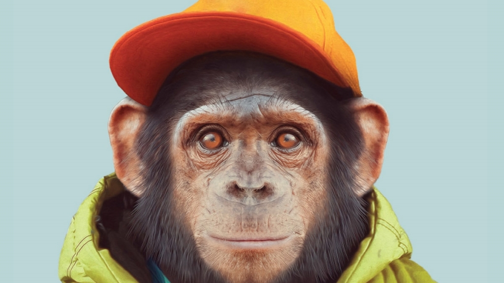 «Практики»: Гуманизация высших приматов. Эксперимент Уинтропа Келлогга