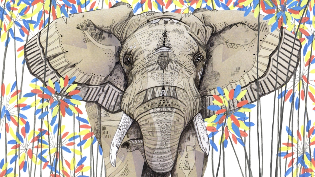 «Переводы»: Парадокс слоновьего мозга. Почему размер не влияет на эффективность работы?